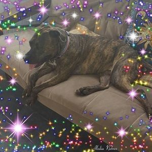 Meet your Posher, Whitney